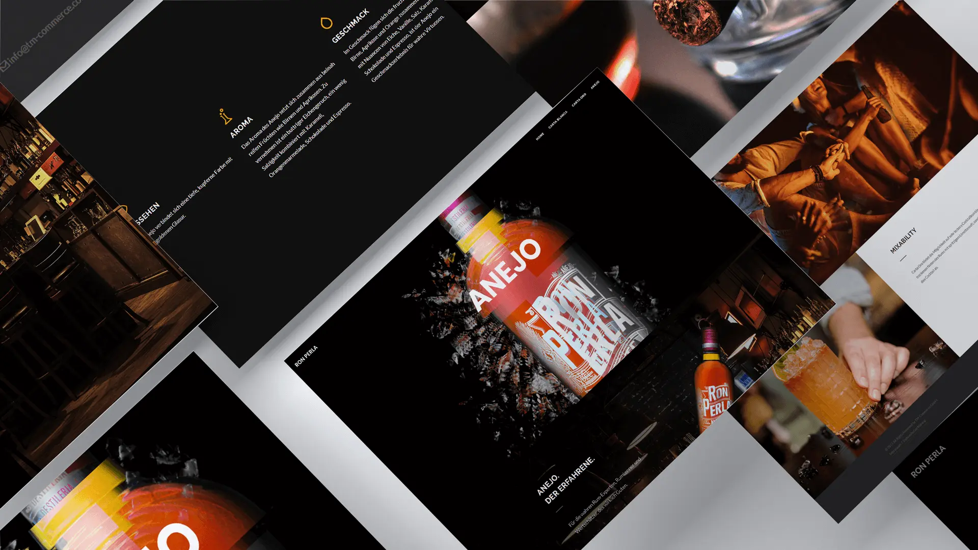 website mockup anejo.png